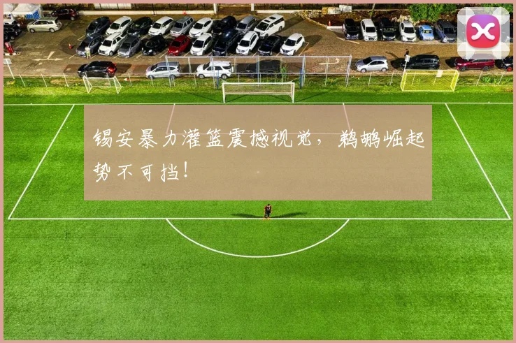 锡安暴力灌篮震撼视觉，鹈鹕崛起势不可挡！