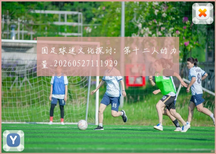 国足球迷文化探讨：第十二人的力量_20260527111929
