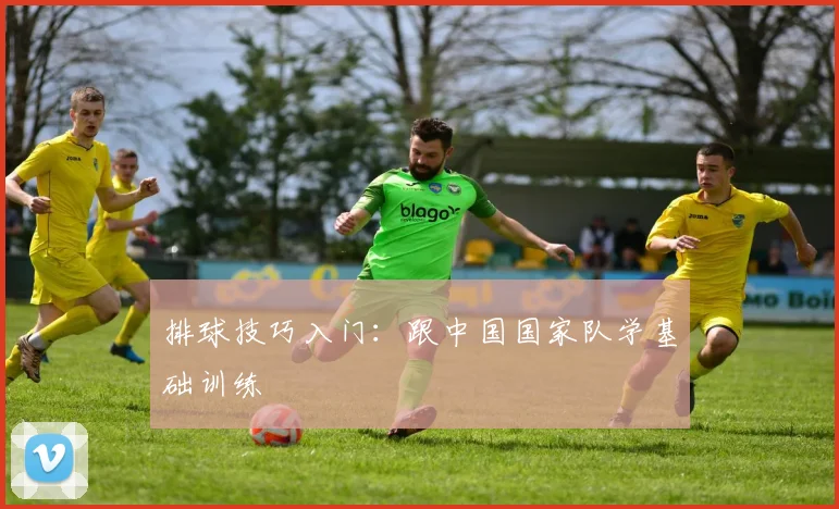 排球技巧入门:跟中国国家队学基础训练