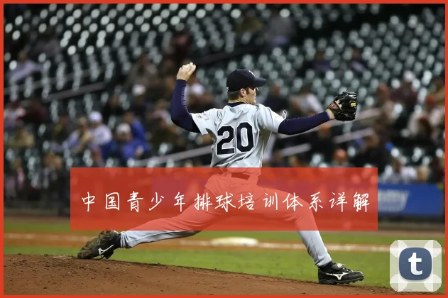 中国青少年排球培训体系详解