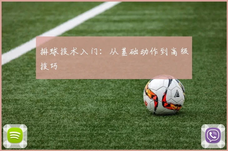 排球技术入门：从基础动作到高级技巧