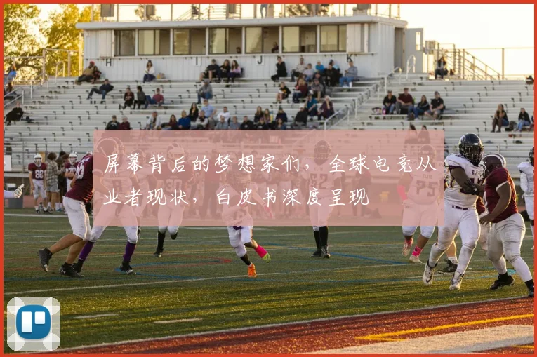 屏幕背后的梦想家们，全球电竞从业者现状，白皮书深度呈现